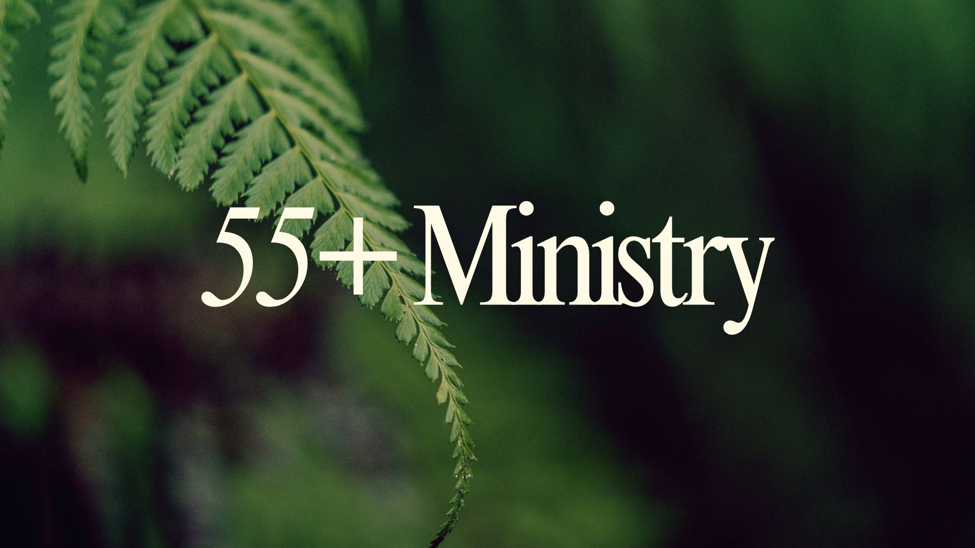55plus_Ministry_Graphic.jpg