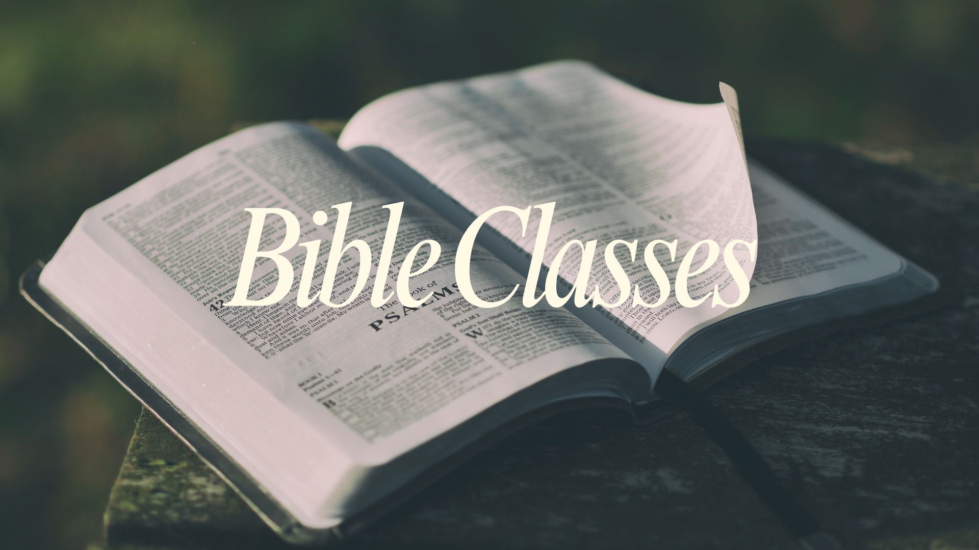 Bible_Classes_Graphic.jpg